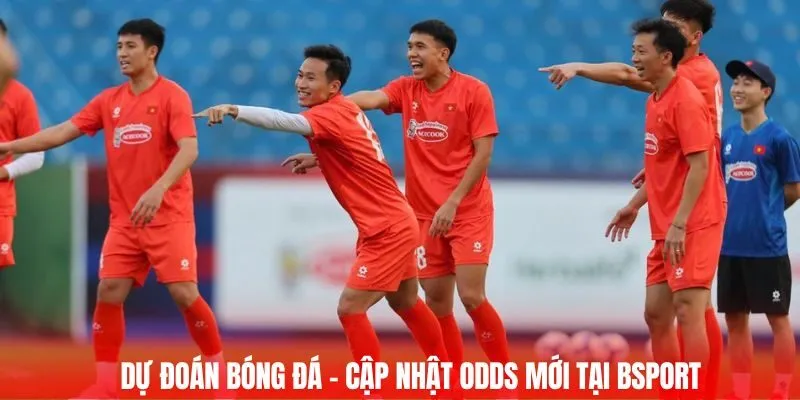Dự đoán bóng đá - Cập nhật odds mới tại Bsport