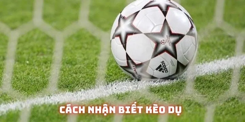 Cách nhận biết thế nào là kèo dụ để tránh